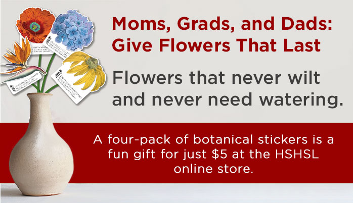 Promotional graphic featuring a vase with colorful artificial flowers and text advertising botanical stickers.
